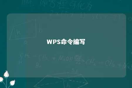 WPS命令编写