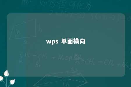 wps 单面横向 