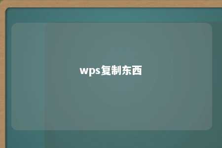 wps复制东西 