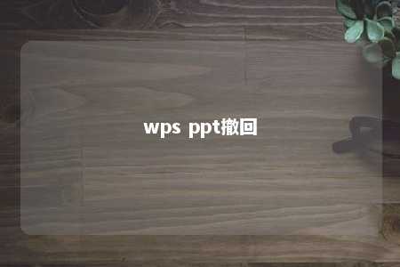 wps ppt撤回 