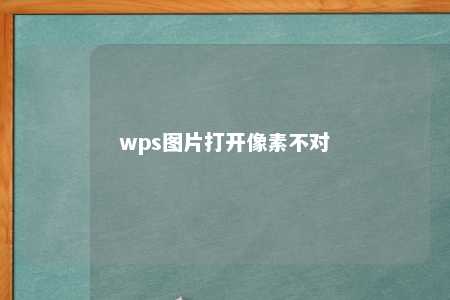 wps图片打开像素不对 