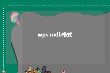 wps mdb格式 