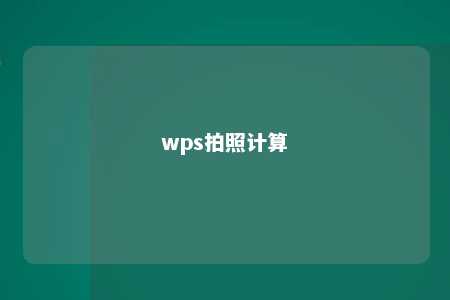 wps拍照计算 