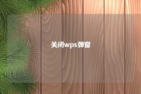 关闭wps弹窗 