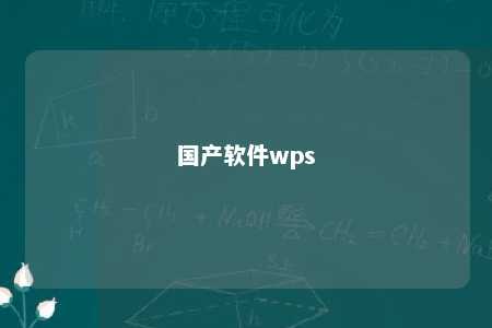 国产软件wps 