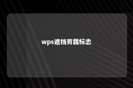 wps遮挡剪裁标志