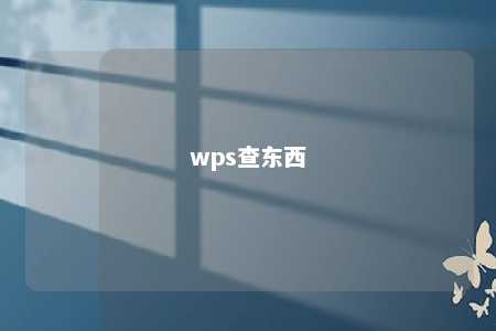 wps查东西 