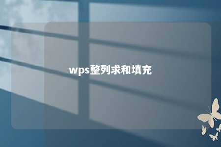 wps整列求和填充 