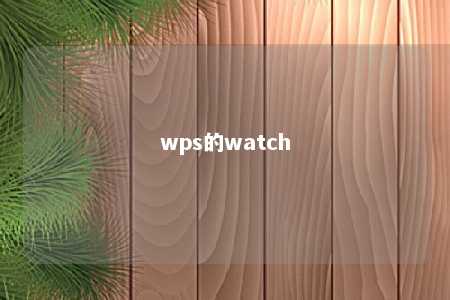 wps的watch