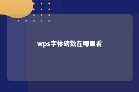 wps字体磅数在哪里看 