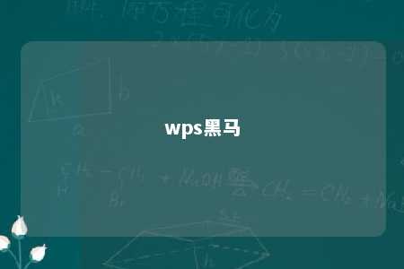 wps黑马 