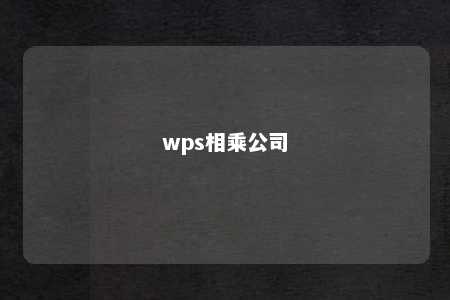 wps相乘公司 