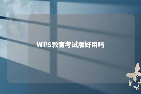 WPS教育考试版好用吗