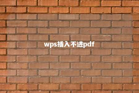 wps插入不进pdf