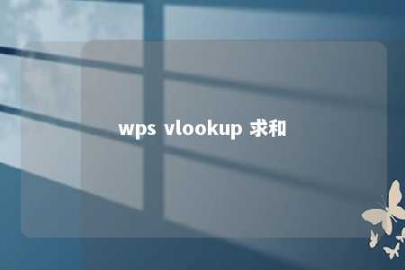 wps vlookup 求和 