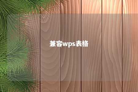 兼容wps表格