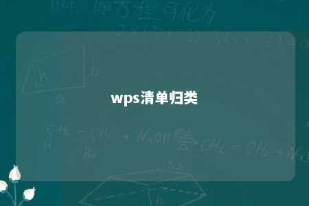 wps清单归类 