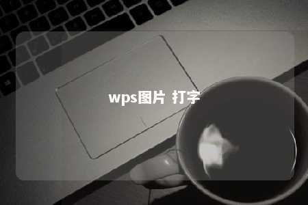 wps图片 打字 