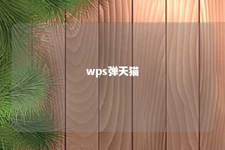 wps弹天猫 