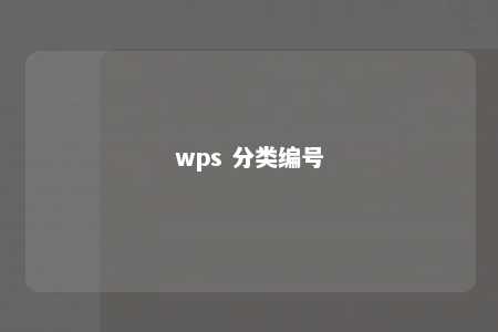 wps 分类编号 