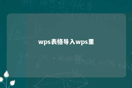 wps表格导入wps里