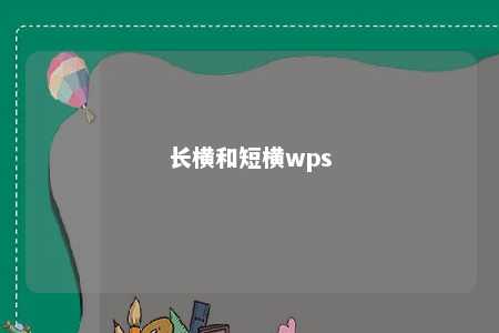 长横和短横wps 