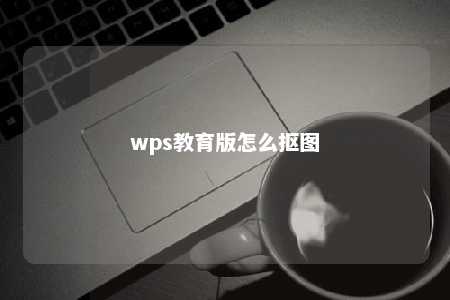 wps教育版怎么抠图 