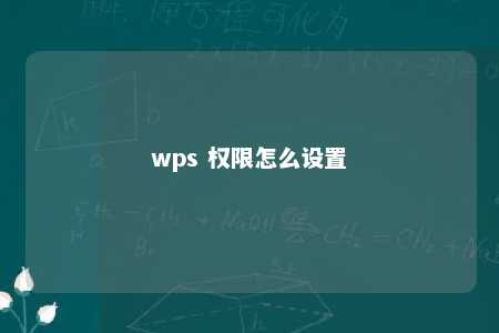 wps 权限怎么设置 