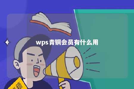 wps青铜会员有什么用