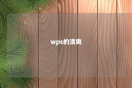 wps的清爽 