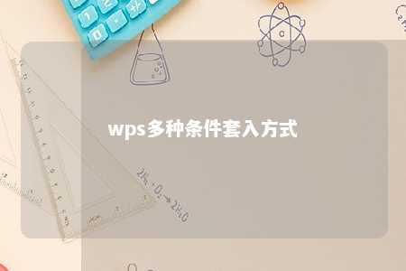 wps多种条件套入方式 