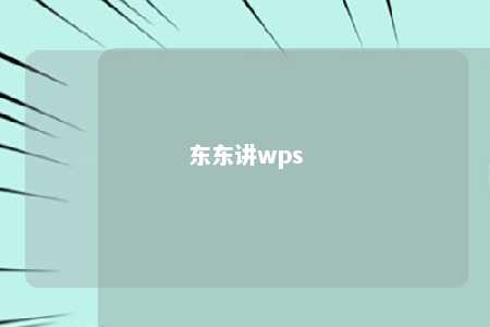 东东讲wps