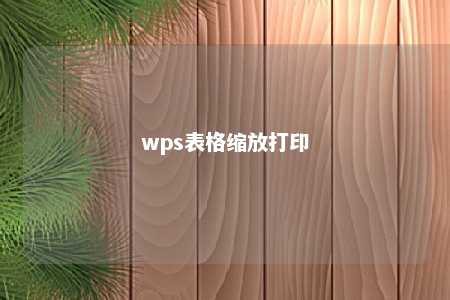 wps表格缩放打印