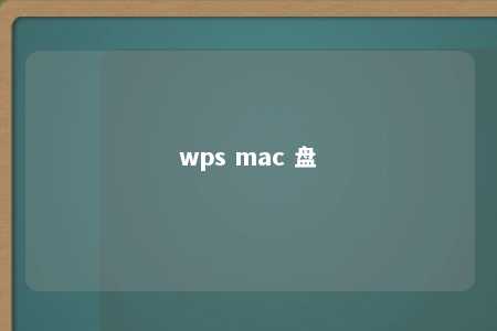 wps mac 盘