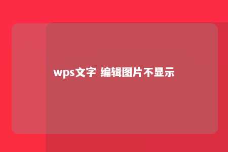 wps文字 编辑图片不显示 