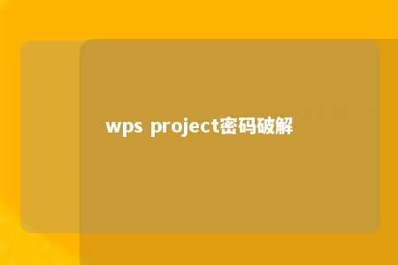 wps project密码破解