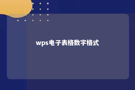 wps电子表格数字格式 