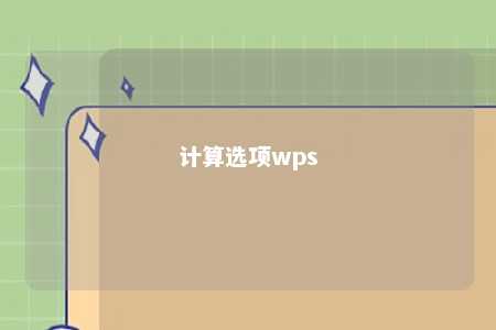 计算选项wps