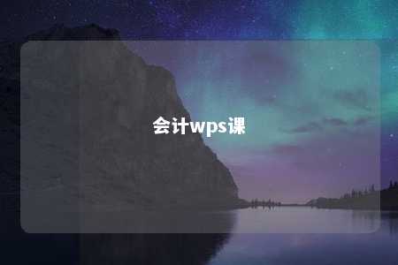 会计wps课 