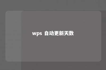 wps 自动更新天数 