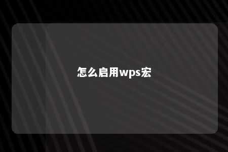 怎么启用wps宏 