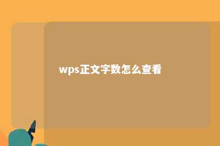 wps正文字数怎么查看 