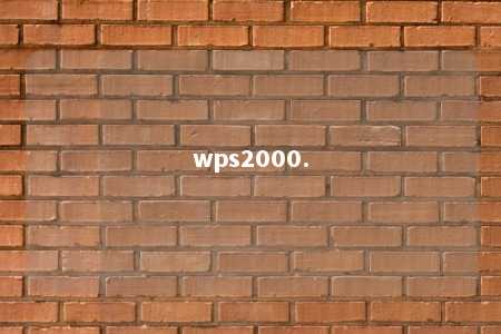 wps2000. 