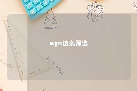 wps这么筛选 