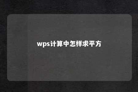 wps计算中怎样求平方