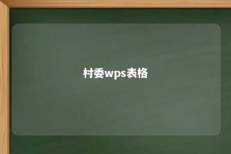 村委wps表格