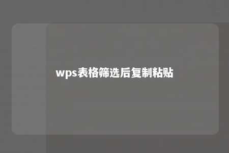 wps表格筛选后复制粘贴 