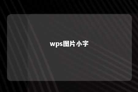 wps图片小字 