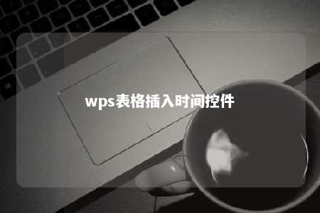 wps表格插入时间控件