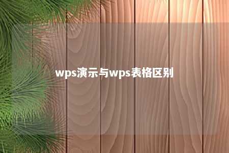 wps演示与wps表格区别